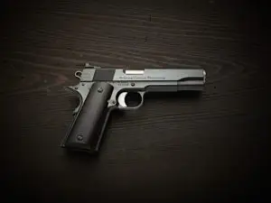 ACW Prime with Ebony Grips
